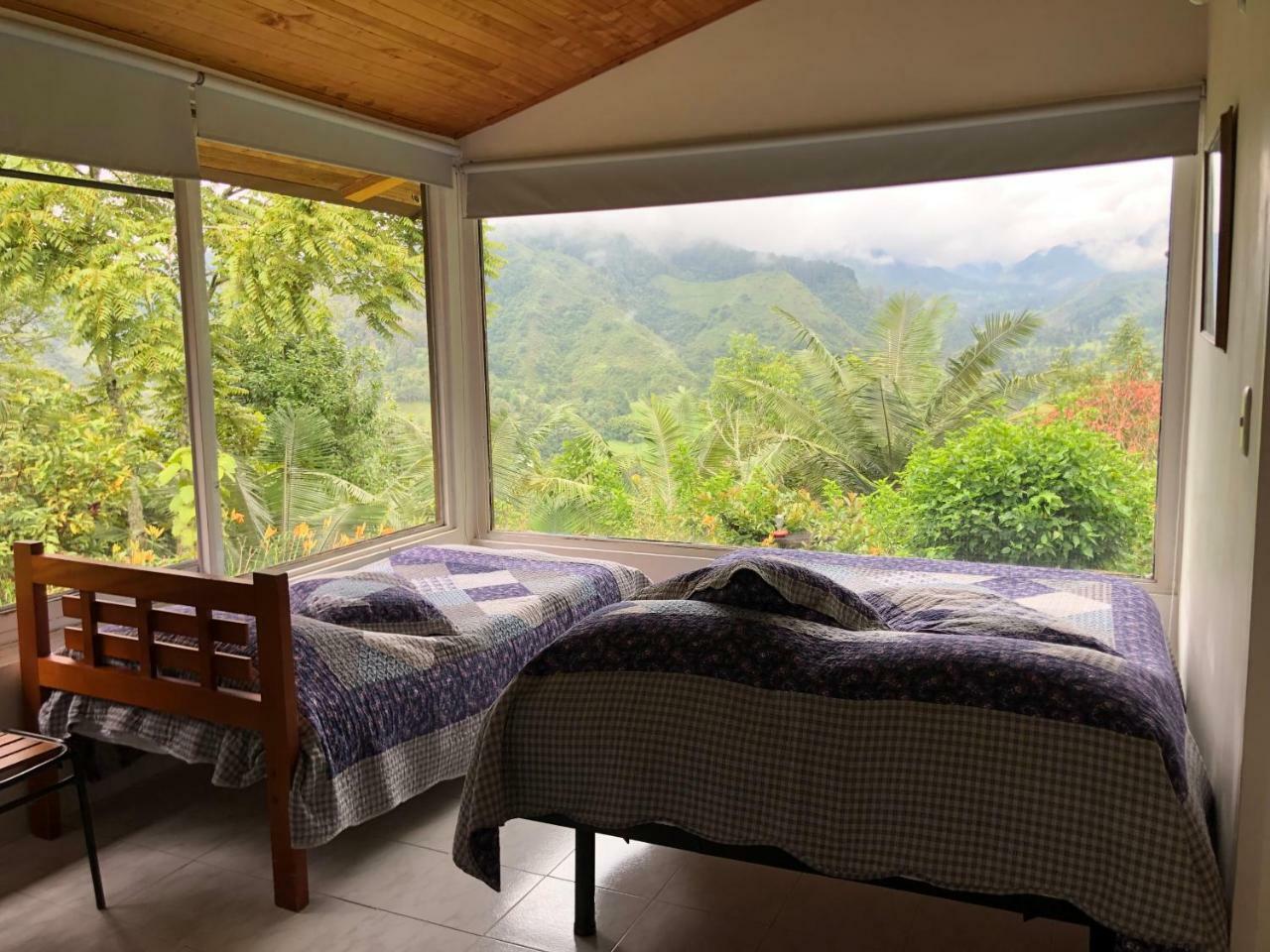 Salento Finca Hotel Mundo Nuevo Eksteriør billede