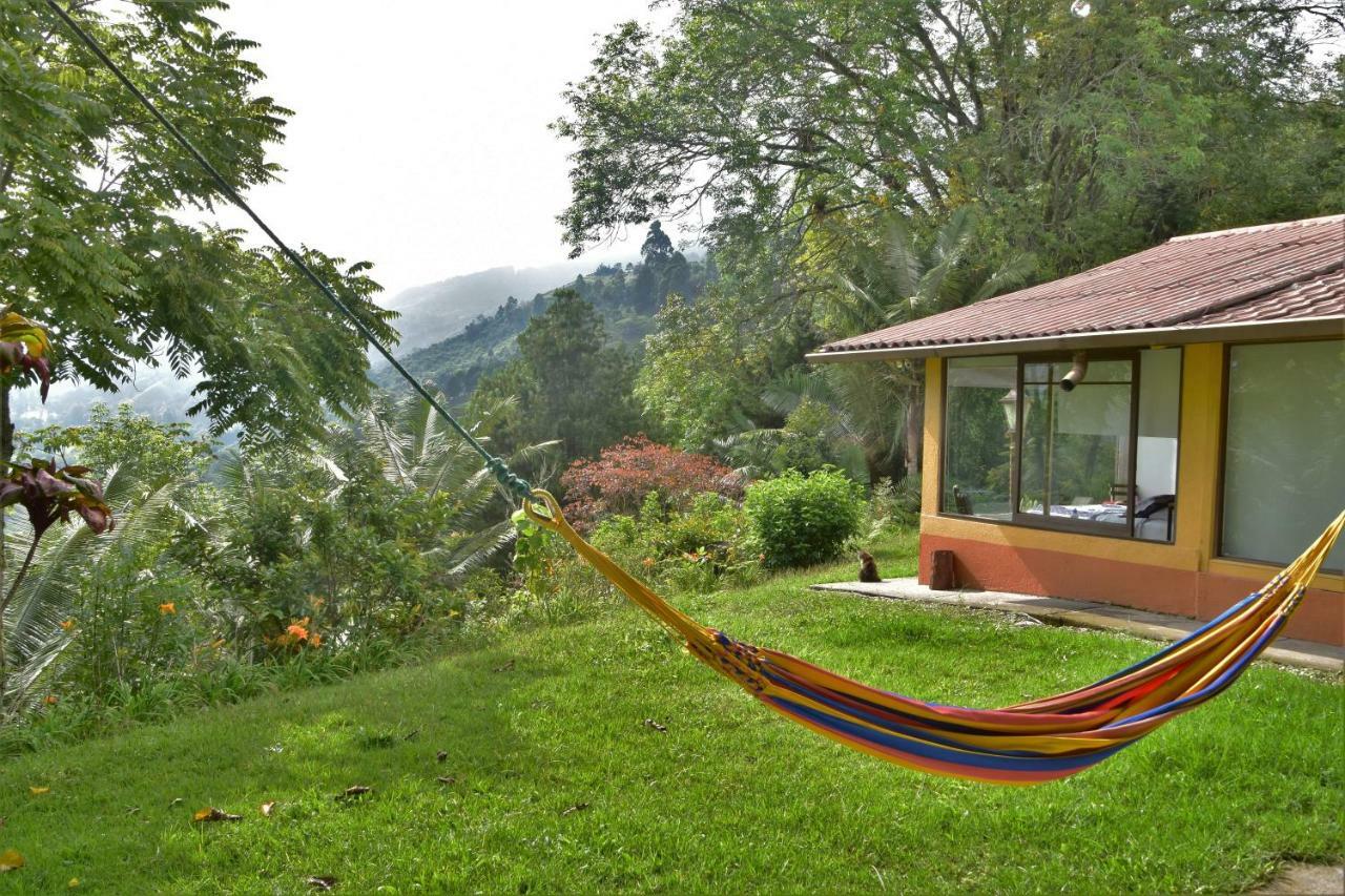 Salento Finca Hotel Mundo Nuevo Eksteriør billede