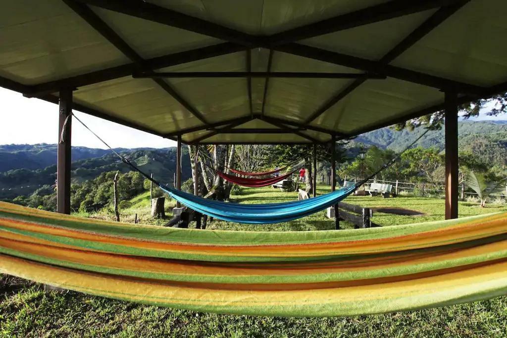 Salento Finca Hotel Mundo Nuevo Eksteriør billede